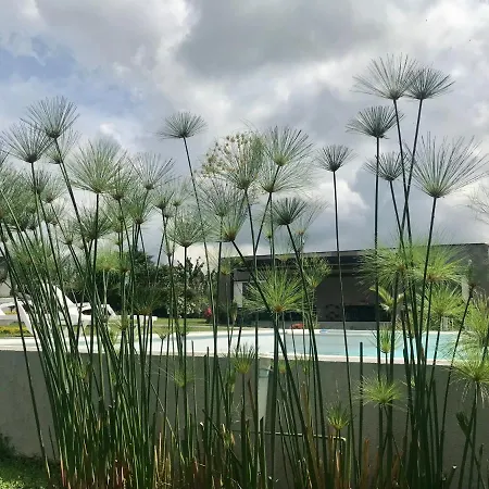 Torcaza Casa De Campo Quimbaya Exterior photo